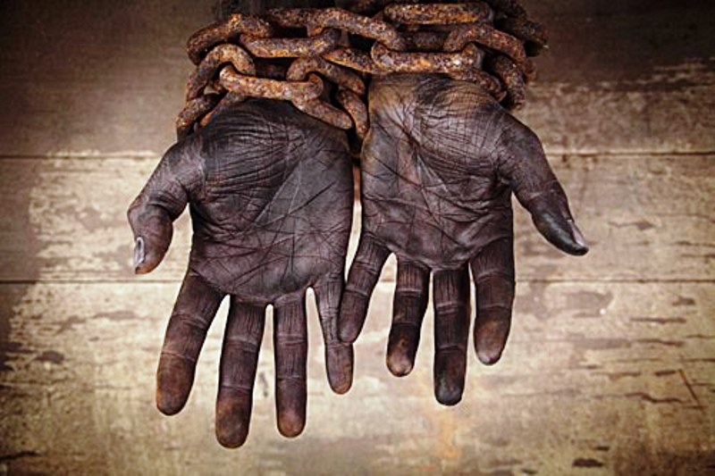 Leia mais sobre o artigo Nova “Lista de Transparência” traz 340 nomes flagrados por trabalho escravo